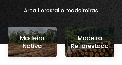 Banner Menor Área Florestal