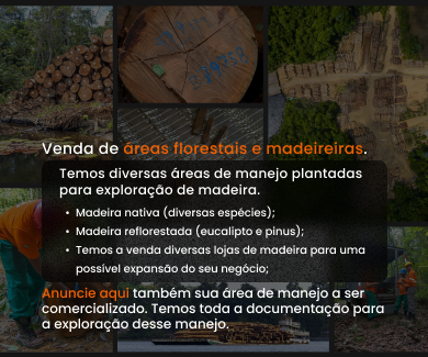 Venda de áreas florestais e madeireiras