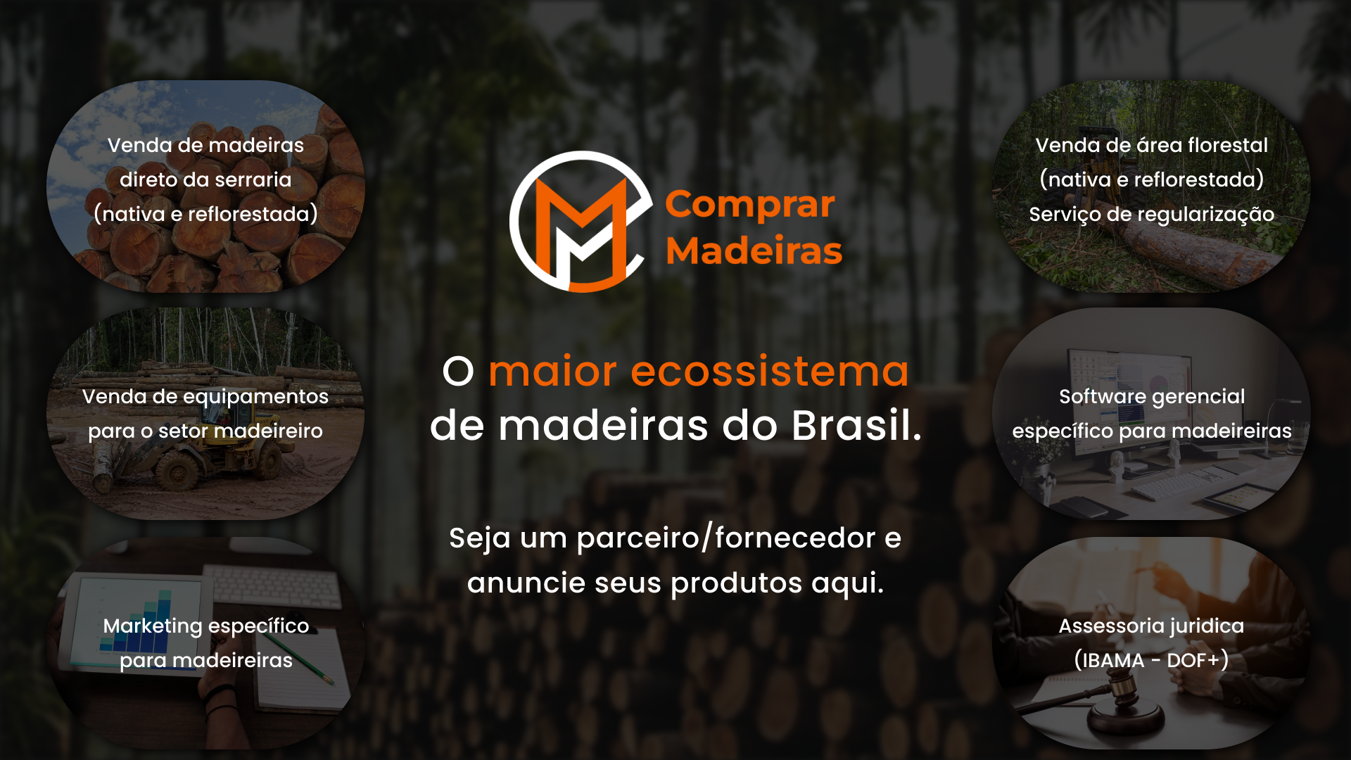 O maior ecosistema de madeiras do Brasil