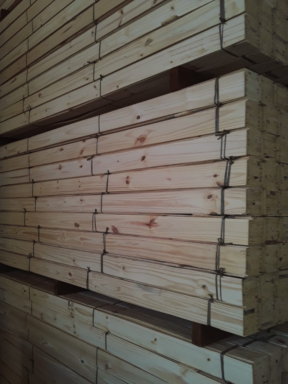 Forro de Pinus 1x10 para (SP - MG) Pedido Mínimo 300m²